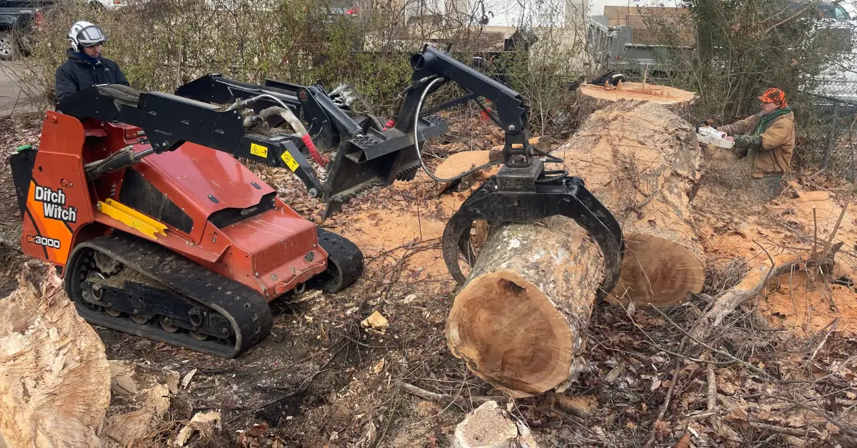 Certified arborist inspecting a large tree for removal in Pittsburgh