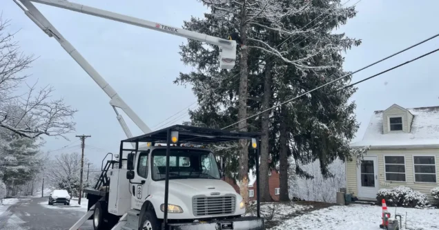 Winter Tree Care in Pittsburgh and Allegheny County