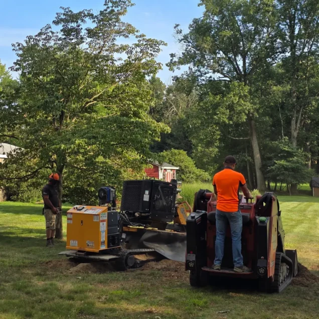 Hazardous Trees in Allegheny County