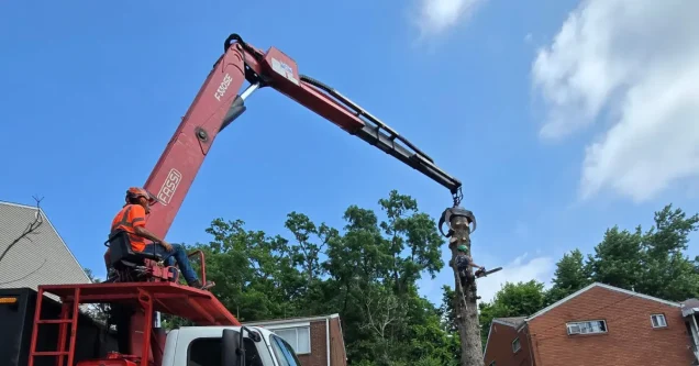 Crane Tree Removal in Sewickley PA