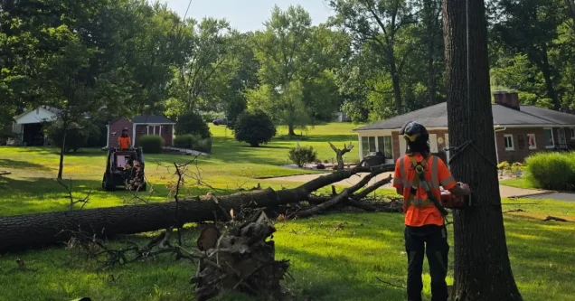 How Storm Debris Removal Works After Severe Weather in Pittsburgh