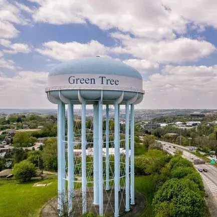 Expert Tree Services in Green Tree