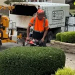 Shrub Planting