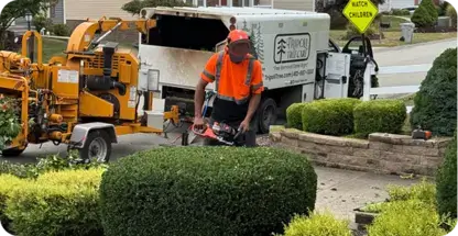 Shrub Planting