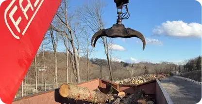 Land Clearing