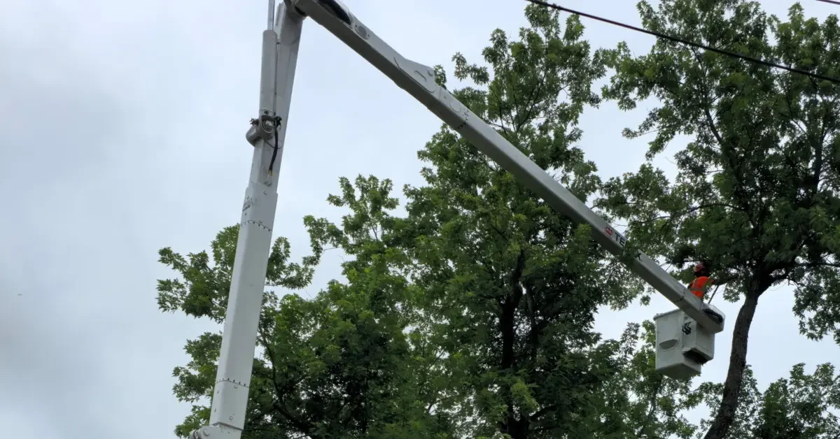 Professional arborists providing tree service in White Oak, PA, with modern equipment