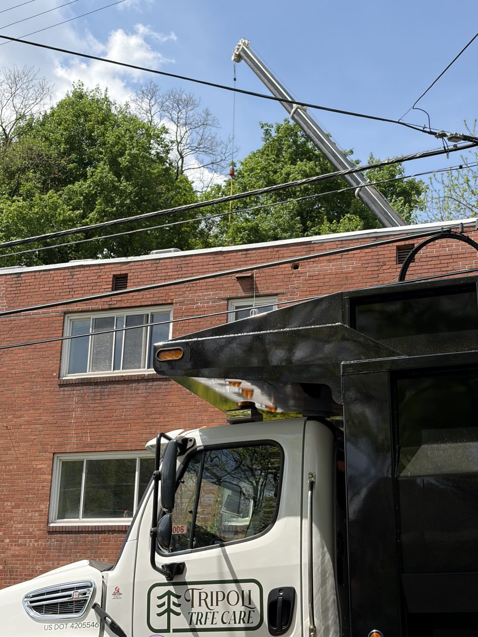 Crane operation by Tripoli Tree Care handling heavy tree removal near structures in Pittsburgh