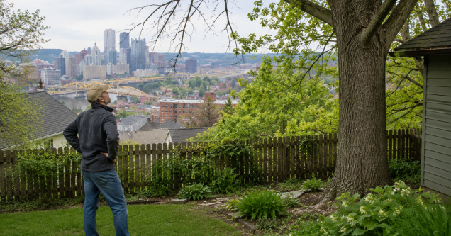 How to Prepare Trees in Pittsburgh, PA, for Spring Winds and Heavy Rain