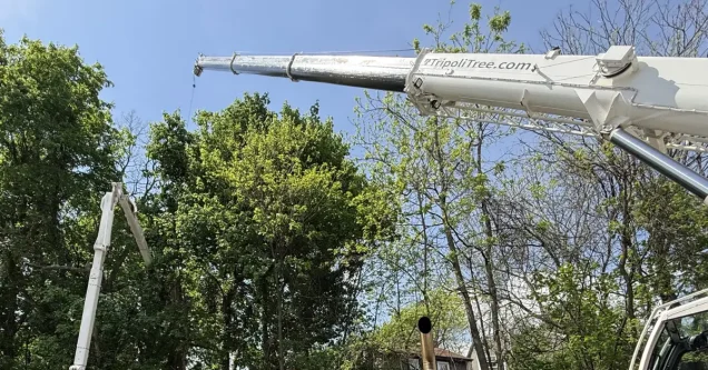 Bucket Trucks vs Climbing: Choosing the Right Tree Removal Method in Pittsburgh