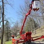 Tripoli Tree Care crew removing large maple trees near a Pittsburgh home