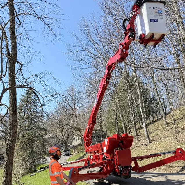 How Tripoli Tree Care Solved a Complex Pittsburgh Property Hazard That Other Companies Passed Over