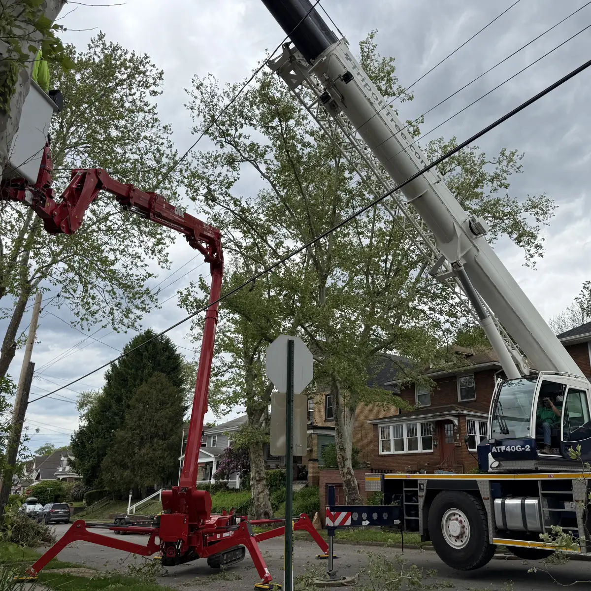 Tripoli Tree Care crane removing heavy limbs near structures in Pittsburgh, PA