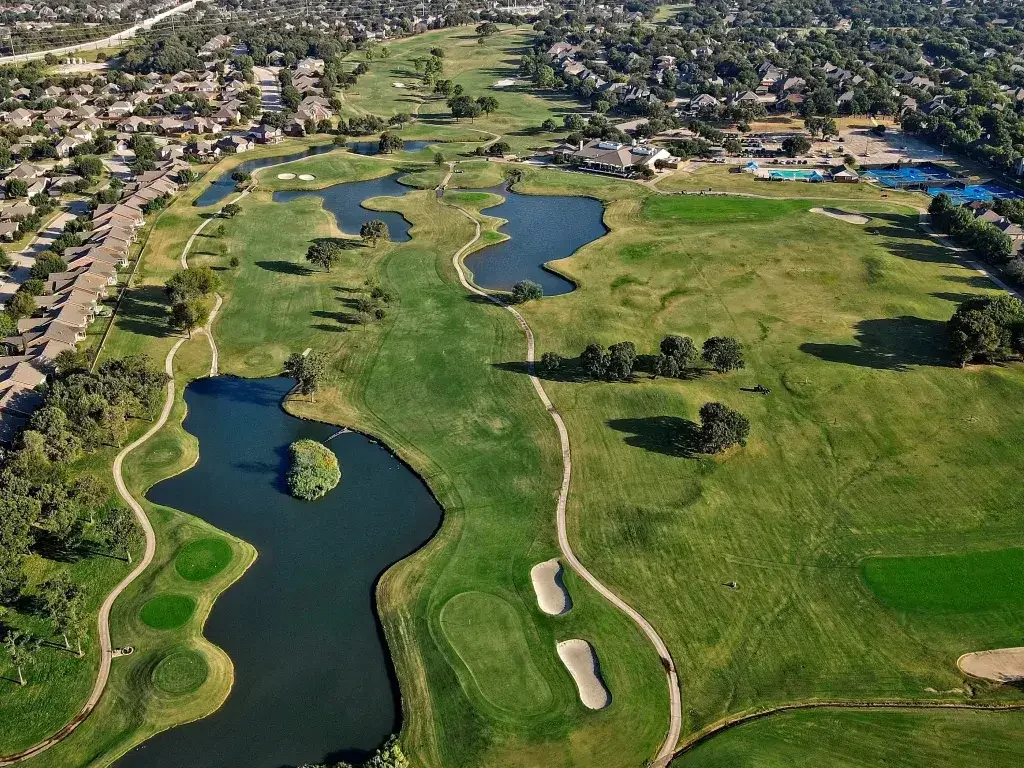 Expert Tree Services in Oakmont