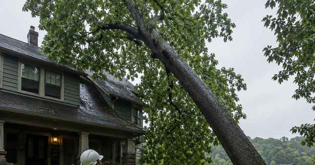 Heavy Rain and Leaning Trees: Spotting Fall Hazards in Pittsburgh PA