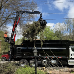 Tree removal crew planning access on a steep Pittsburgh hillside